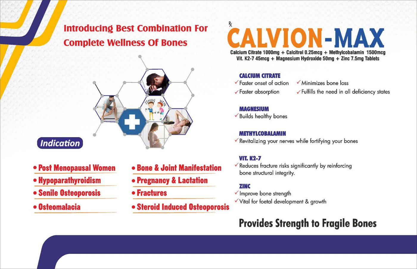 Calvion-Max brochure page