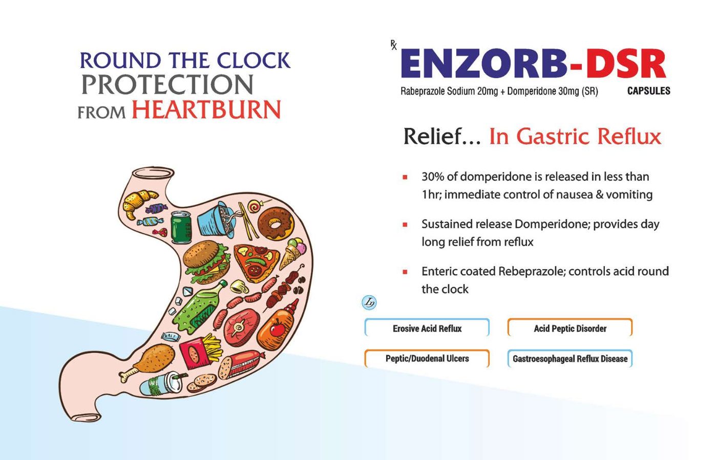 Enzorb-DSR brochure page